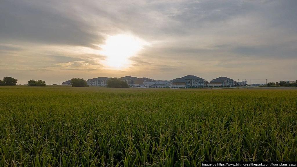 Apartment in Pflugerville